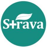STRAVA HEALTHCARE PVT LTD