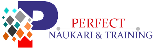 Perfect Naukri Logo